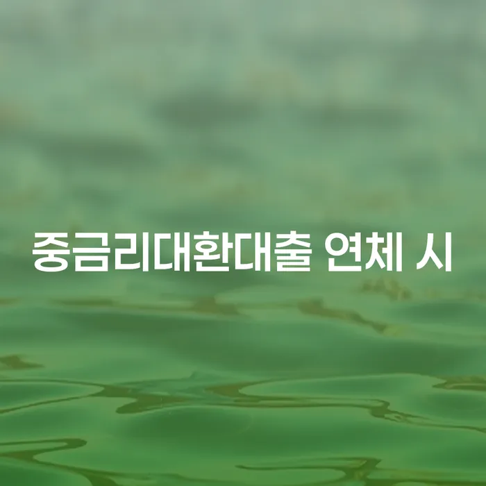 회생파산 빚 합법적인 빠른방법 체크해보세요