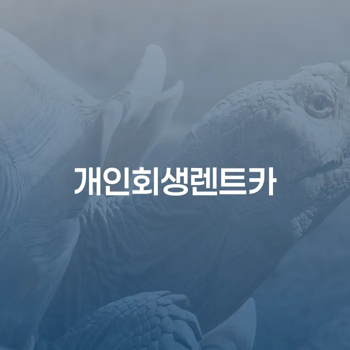 채권자파산신청 개인회생으로 방법 잘하는 곳