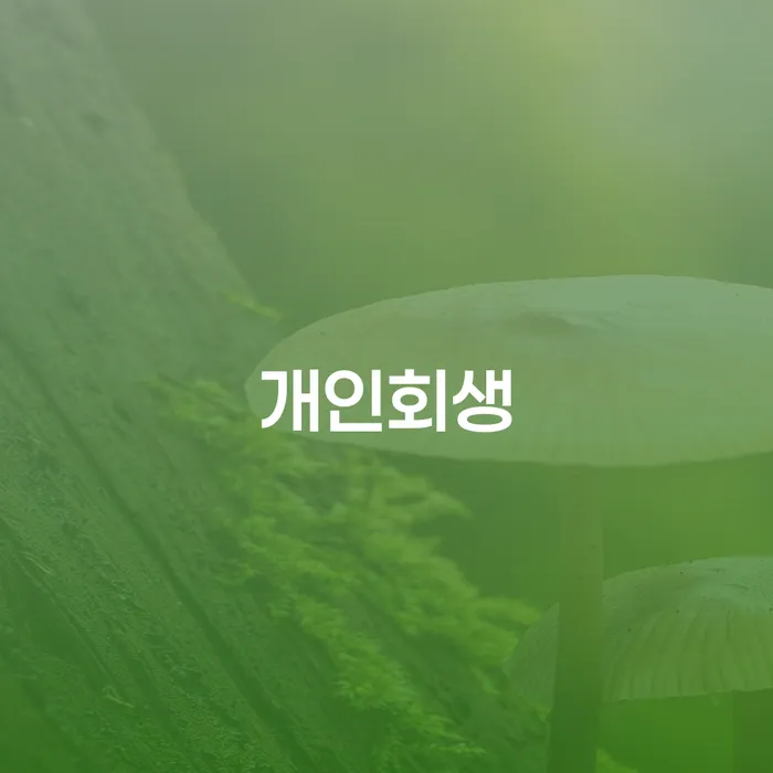 대출금연체 빚청산 할려는데