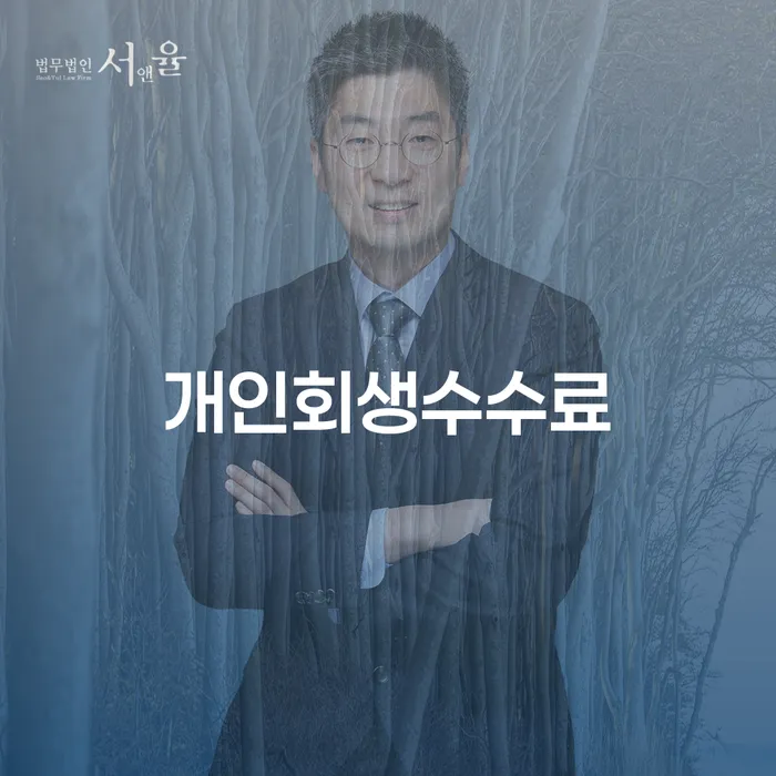 개인회생금지명령 신용회복 진행방안