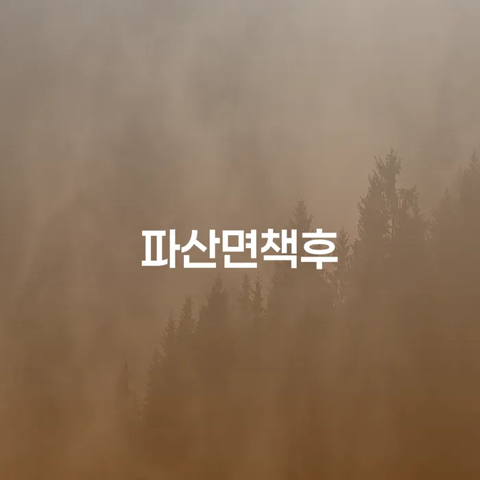 개인회생가격 개인회생으로 해결 어떻게 진행되는지