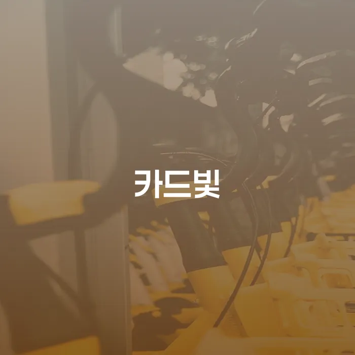예산군 개인회생자동차 처리 채무조정제도을 이용하여 찾는정보들