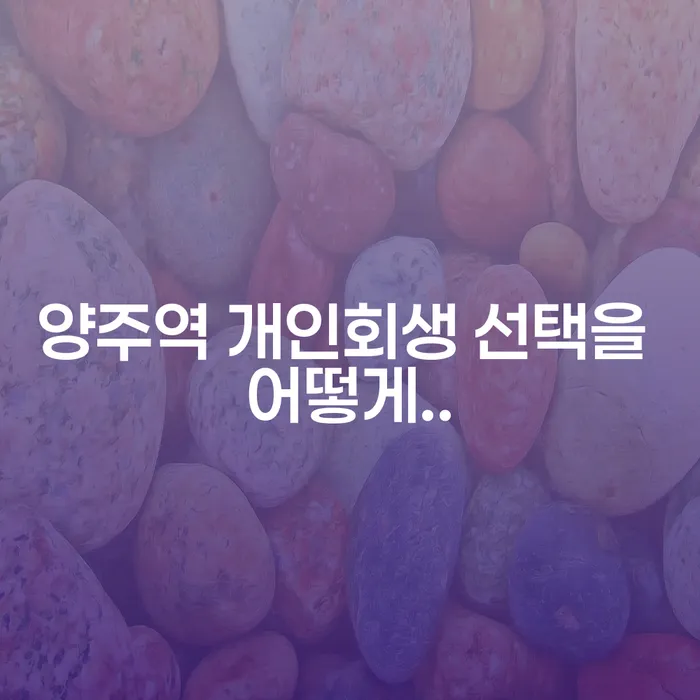 양주역 개인회생 선택을 어떻게..