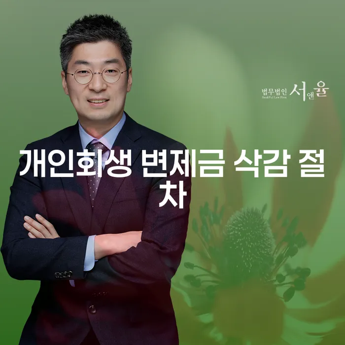 개인회생 변제금 삭감 절차, 어떻게 진행해야 할까요?