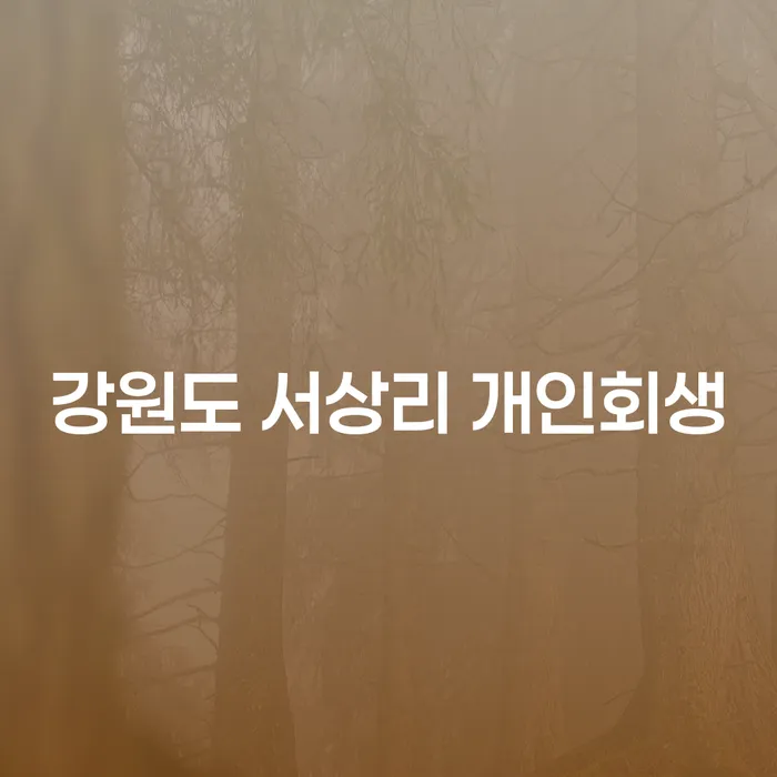 강원도 서상리에서 개인회생을 어떻게 시작할 수 있을까요?