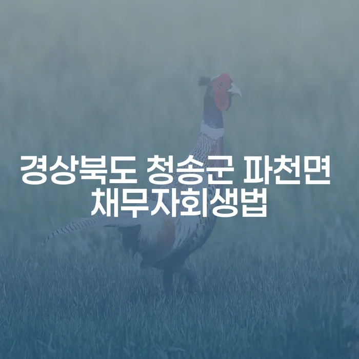 경상북도 청송군 파천면 채무자회생법으로 해결할 수 있는 방법은 무엇일까요?