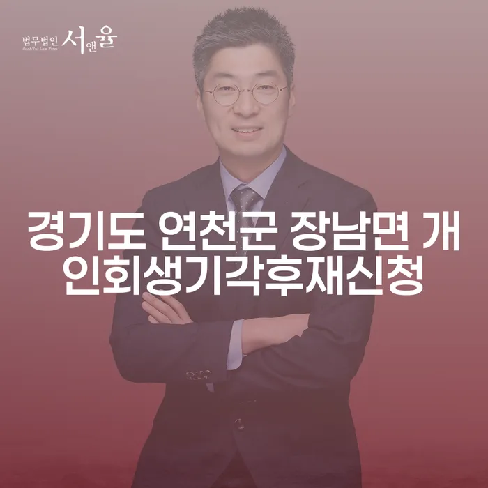 경기도 연천군 장남면에서 개인회생이 기각된 후 재신청할 수 있을까요?