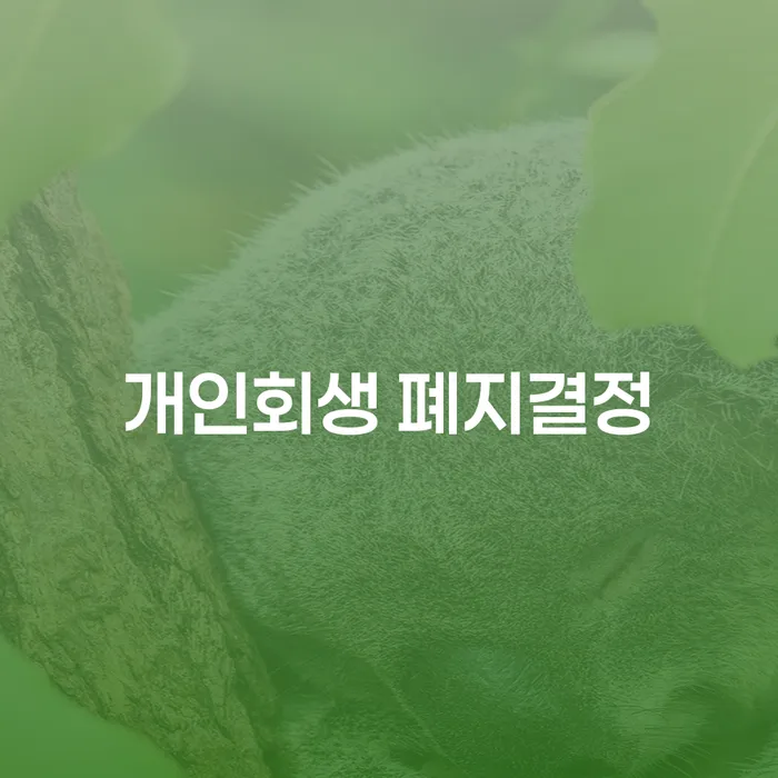 개인회생 폐지결정: 어떻게 이 상황을 피할 수 있을까요?
