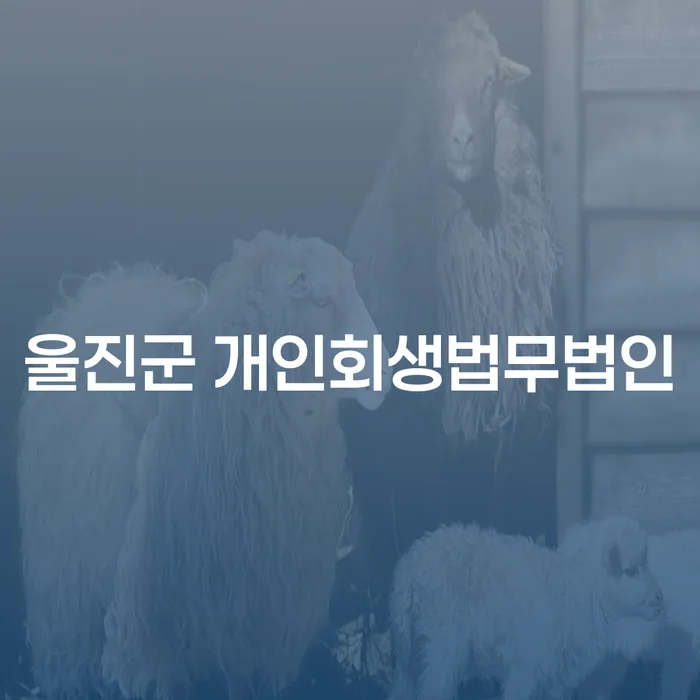 울진군 개인회생법무법인과 사천남양출장소 개인회생, 어떻게 선택해야 할까요?