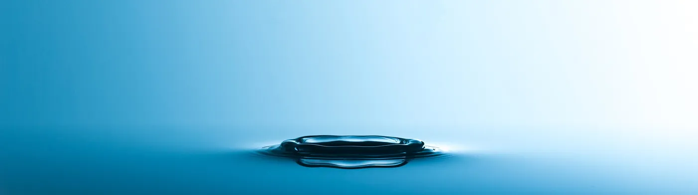 법무법인 서앤율